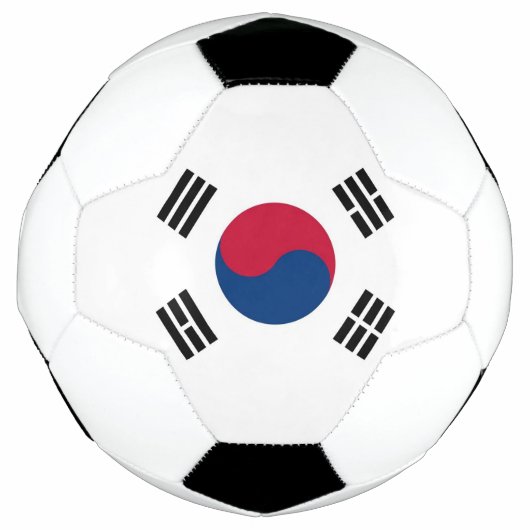 韓国国旗を掲げた愛国的なサッカーボール サッカーボール (正面)