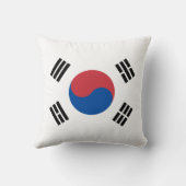 韓国国旗 クッション (裏面)