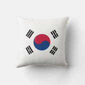 韓国国旗 クッション (裏面)