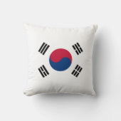 韓国国旗 クッション (正面)