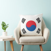 韓国国旗 クッション (椅子)