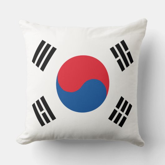 韓国国旗 クッション (正面)