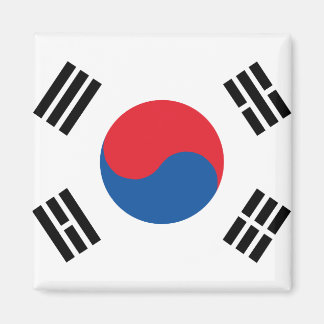 韓国国旗 マグネット