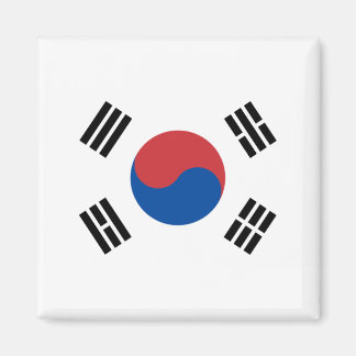 韓国国旗 マグネット