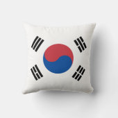 韓国国旗（韓国） クッション (裏面)