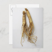 韓国料理,高麗人参 ポストカード (正面/裏面)