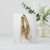 韓国料理,高麗人参 ポストカード (スタンド正面)