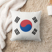 韓国旗 クッション (ブランケット)