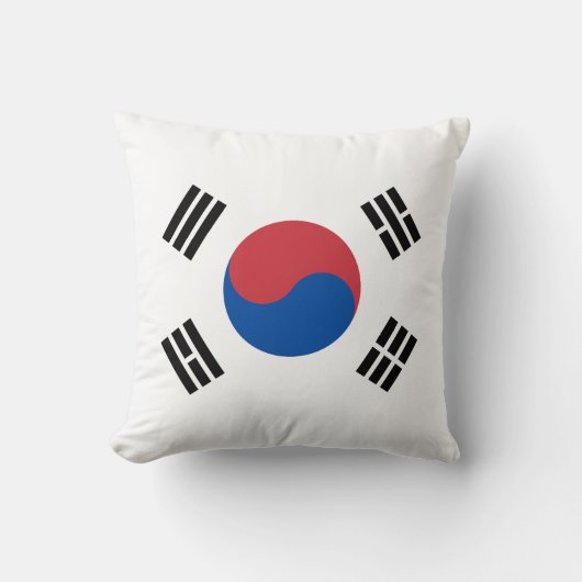 韓国旗 クッション (正面)