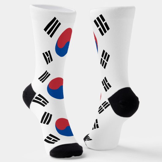 韓国旗 ソックス (傾斜あり)