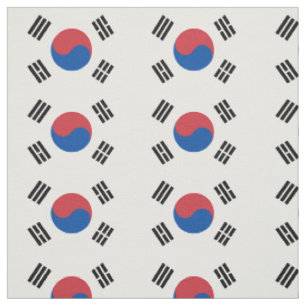 韓国旗 ファブリック