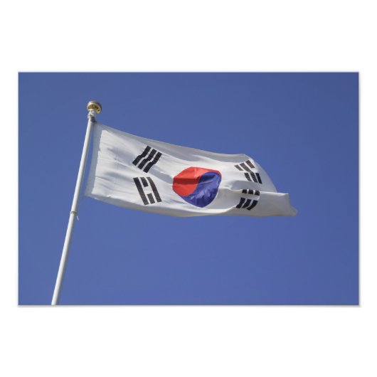 韓国旗 フォトプリント            (正面)