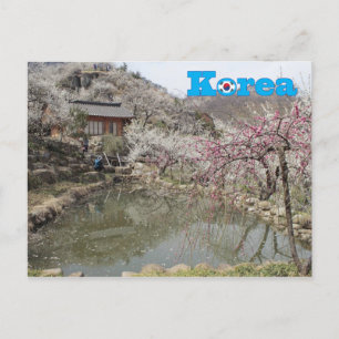 韓国春風景 ポストカード