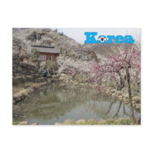韓国春風景