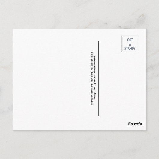 韓国済州島ポストクロッシング用葉書 ポストカード (裏面)