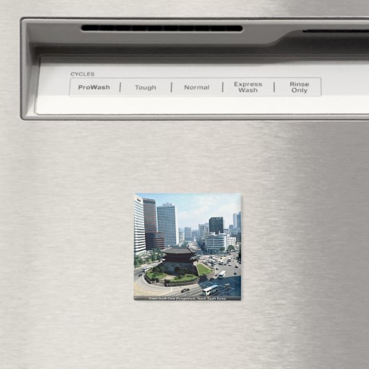 韓国素晴らしソウル南門(スンギムン) マグネット (インサイチュ (食洗機))