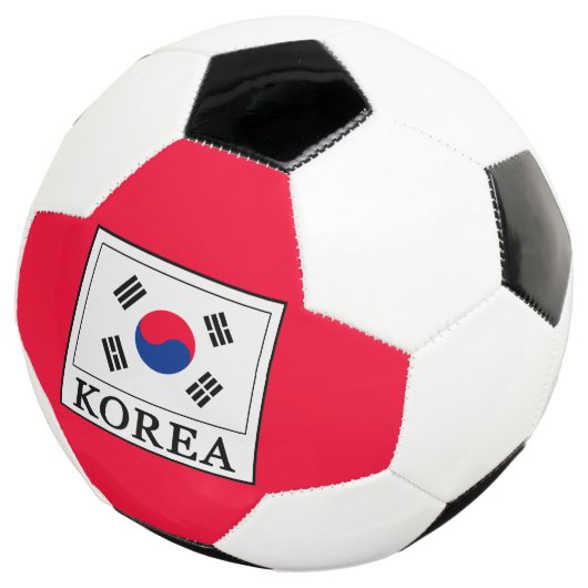 韓国 サッカーボール (3/4)