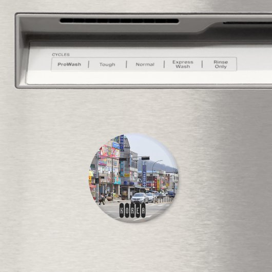 韓国 マグネット (インサイチュ (食洗機))