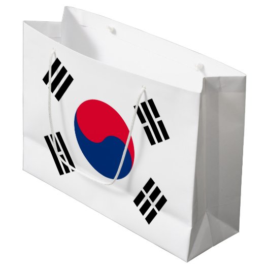 韓国 ラージペーパーバッグ (正面アングル)