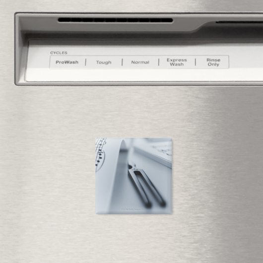 音叉 マグネット (インサイチュ (食洗機))