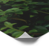 音声セラピスト(SLP) Officeポスター ポスター (角)