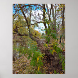 音楽がない場合 ポスター