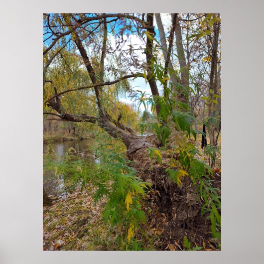 音楽がない場合 ポスター (正面)