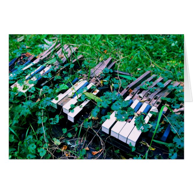 音楽が消えた日 – 空白の Inside Card (正面横)