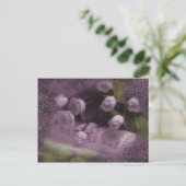 音楽とバラはがき ポストカード (スタンド正面)