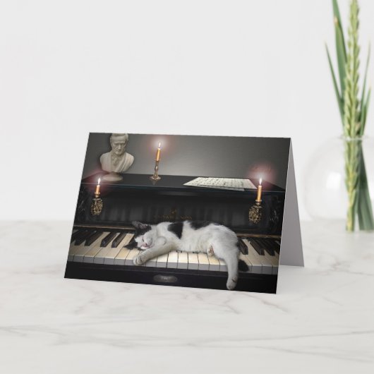 音楽と猫 カード (正面)