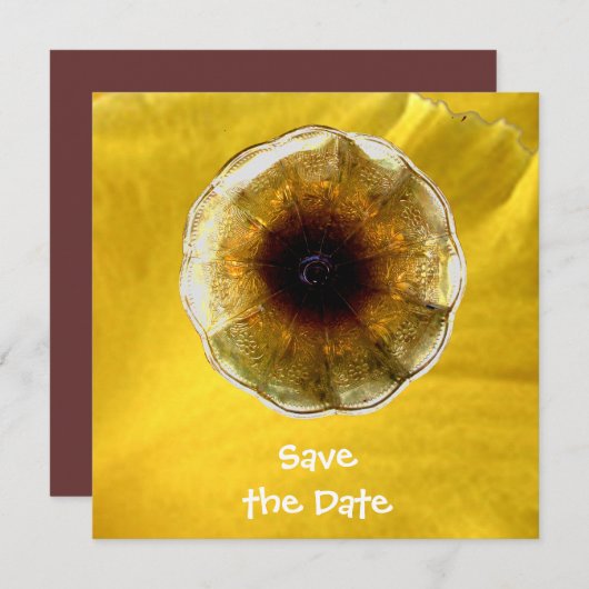 音楽の音 招待状 (正面/裏面)