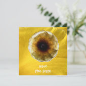 音楽の音 招待状 (スタンド正面)