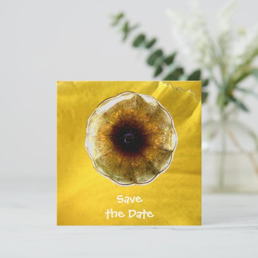 音楽の音 招待状 (スタンド正面)