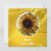 音楽の音 招待状 (正面)