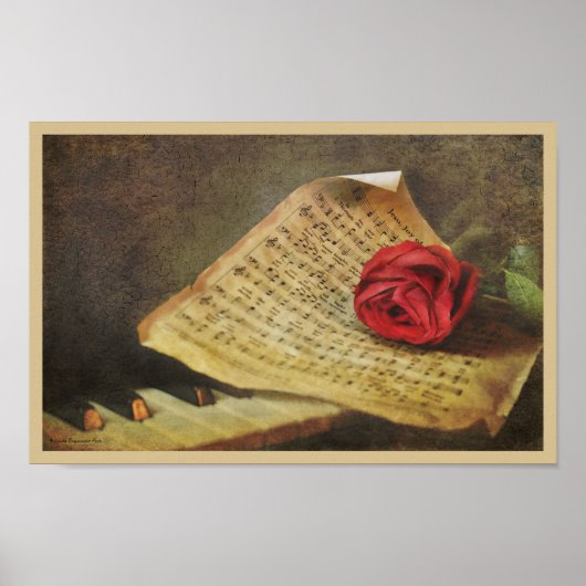 音楽は喜び ポスター (正面)