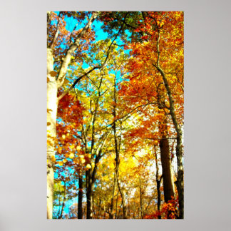 音楽は芸術の虹 ポスター