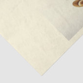 音楽シリーズの構造デザイン2 薄葉紙 (詳細)