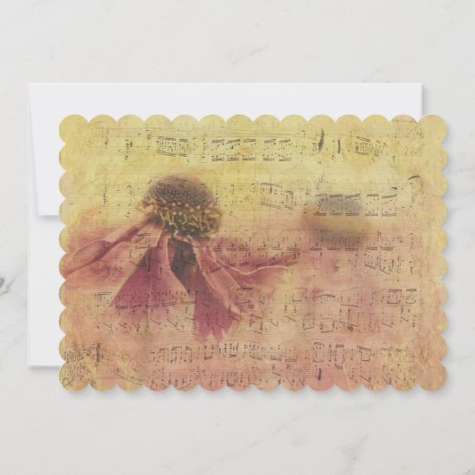 音楽ノートとデイジーありがとう サンキューカード (裏面)