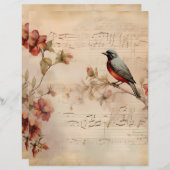 音楽ビクトリアンノート&バードスクラップブック紙 (正面/裏面)