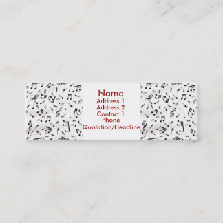 音楽プロフィールカード スキニー名刺