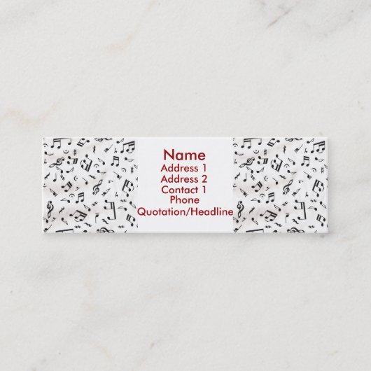 音楽プロフィールカード スキニー名刺 (正面)