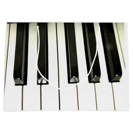 音楽抱き枕 ラージペーパーバッグ (正面)