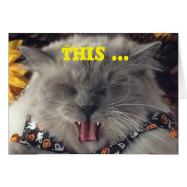 音楽、カードに揺れている猫