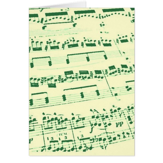 音楽/専攻の学生/先生 (正面)