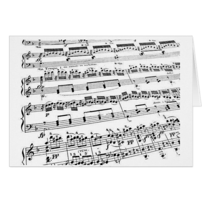 音楽/専攻の学生/先生 (正面横)