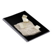 頁岩の黄鉄鉱の水晶 ノートブック (右側)