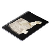 頁岩の黄鉄鉱の水晶 ノートブック (左側)