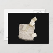 頁岩の黄鉄鉱の水晶 ポストカード (正面/裏面)