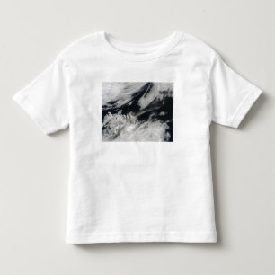 頂上からの淡い色のな灰色の灰の羽毛の打撃 トドラーTシャツ