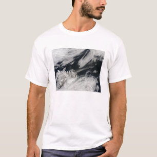 頂上からの淡い色のな灰色の灰の羽毛の打撃 Tシャツ